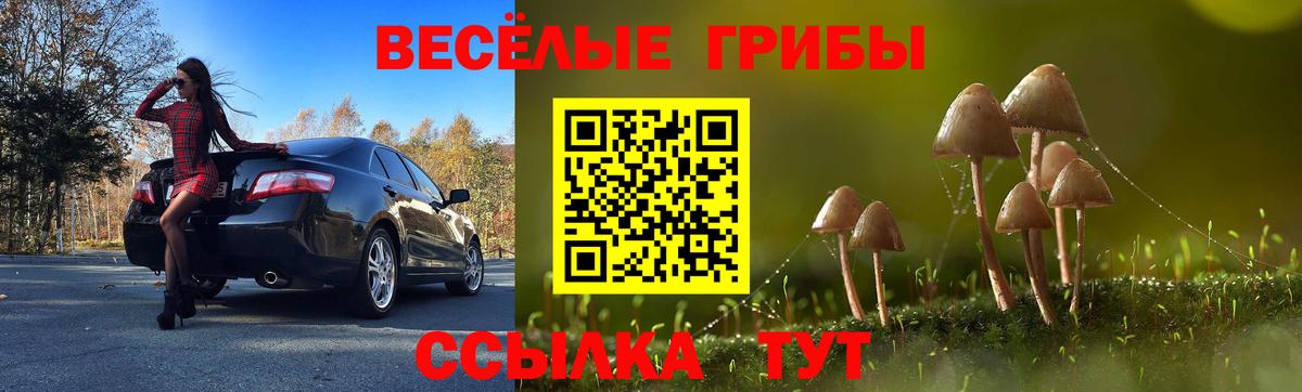 магазин  наркотиков  Псилоцибиновые грибы Cubensis  Северск  Вход с VPN  Псилоцибиновые грибы мицелий 